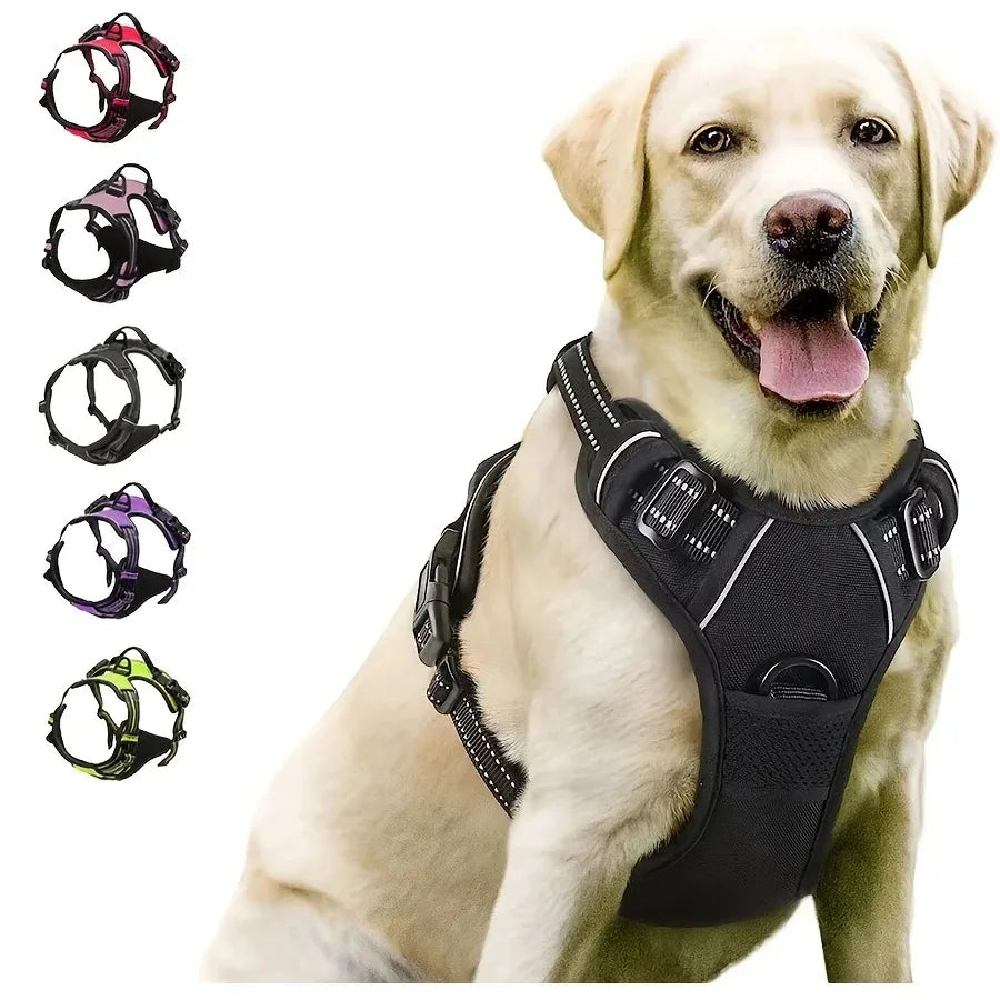 Leather Dog Harness & Leash Set – Comfortable Walking Vest