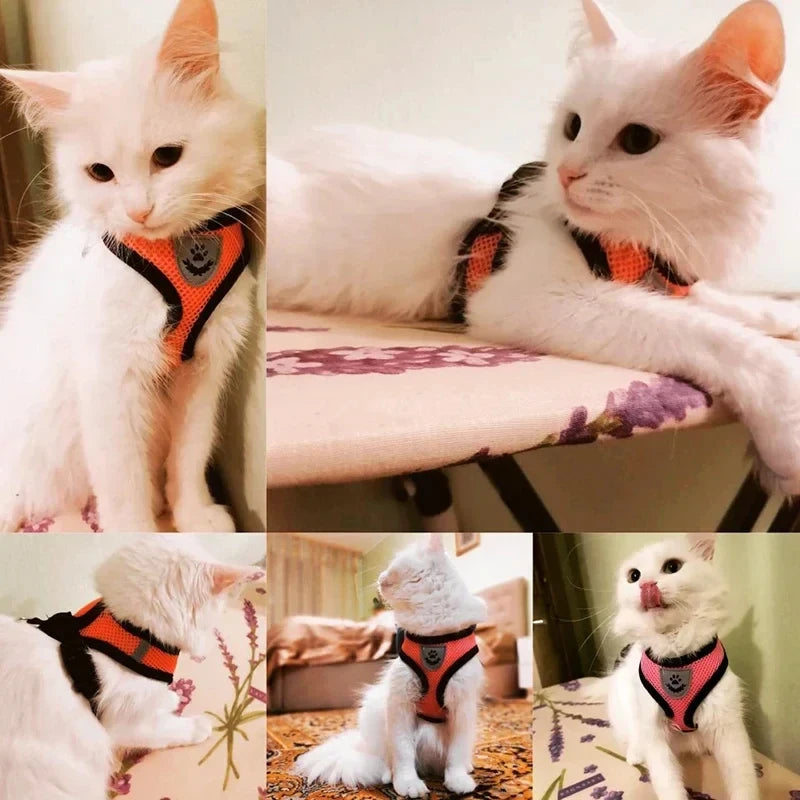 Adjustable Mesh Pet Harness & Leash Set – Soft Vest for Cats & Dogs