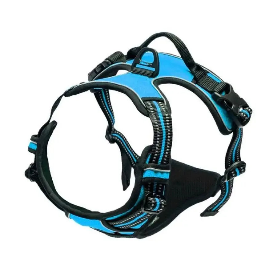 Leather Dog Harness & Leash Set – Comfortable Walking Vest