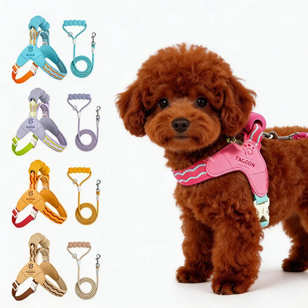 Soft Dog Harness & Leash Set – Breathable Vest for Small Pets