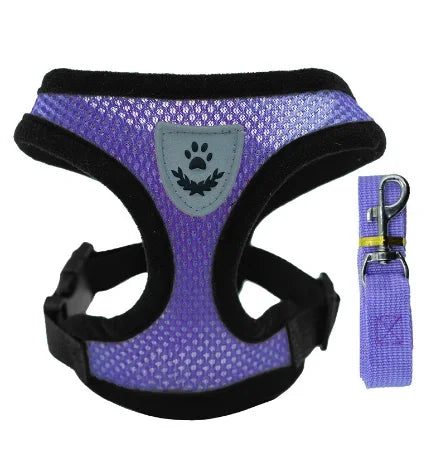 Adjustable Mesh Pet Harness & Leash Set – Soft Vest for Cats & Dogs