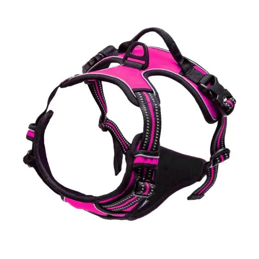 Leather Dog Harness & Leash Set – Comfortable Walking Vest
