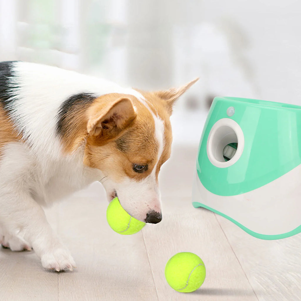 Automatic Dog Ball Launcher – Rechargeable Interactive Toy
