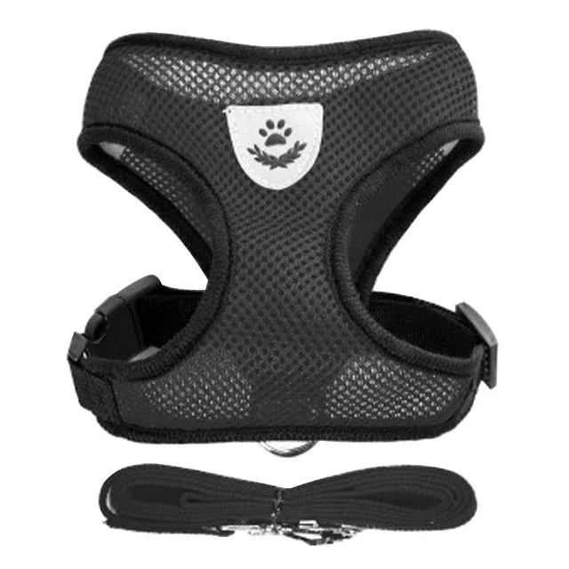 Adjustable Mesh Pet Harness & Leash Set – Soft Vest for Cats & Dogs