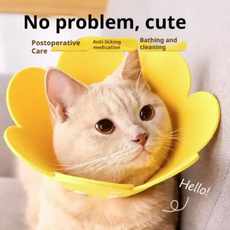 Flower-Shaped Recovery Collar – Adjustable Protective Cone for Pets