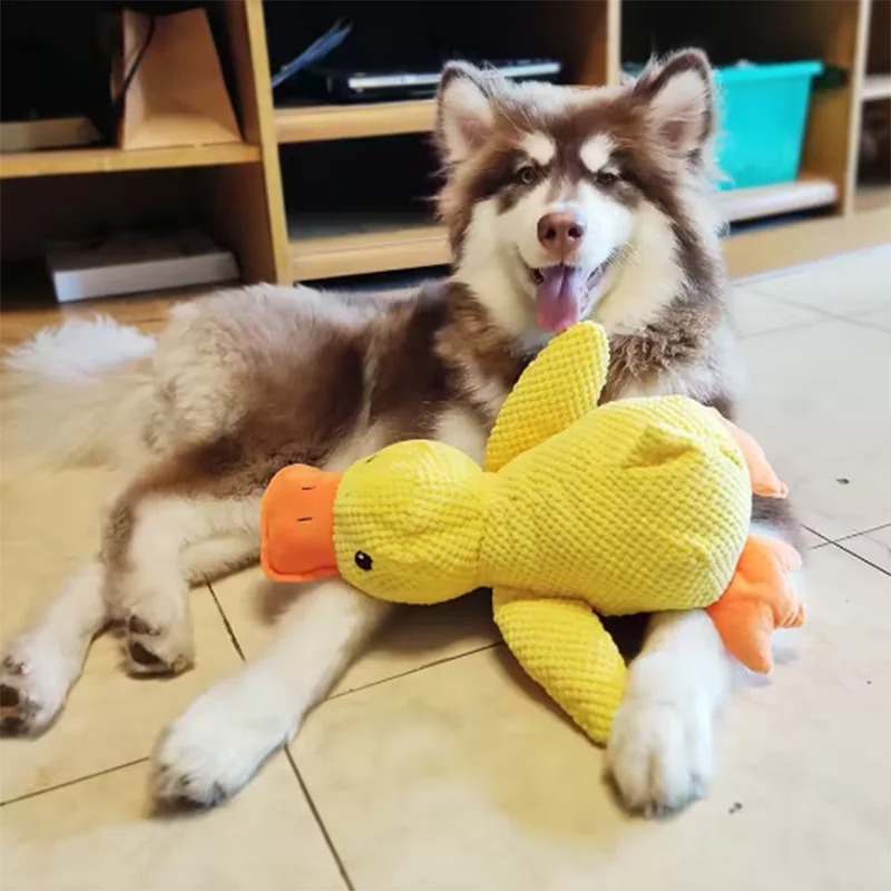 Duck Plush Dog Toy – Cute Interactive Comfort Toy for Dogs