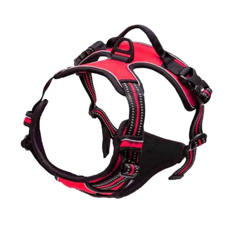 Leather Dog Harness & Leash Set – Comfortable Walking Vest