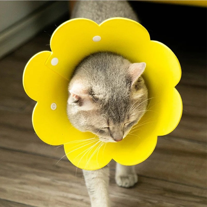 Flower-Shaped Recovery Collar – Adjustable Protective Cone for Pets