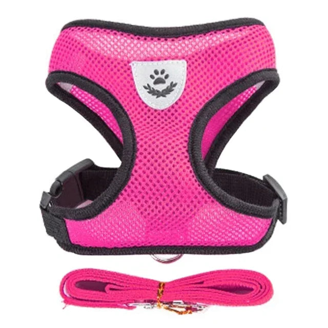 Adjustable Mesh Pet Harness & Leash Set – Soft Vest for Cats & Dogs