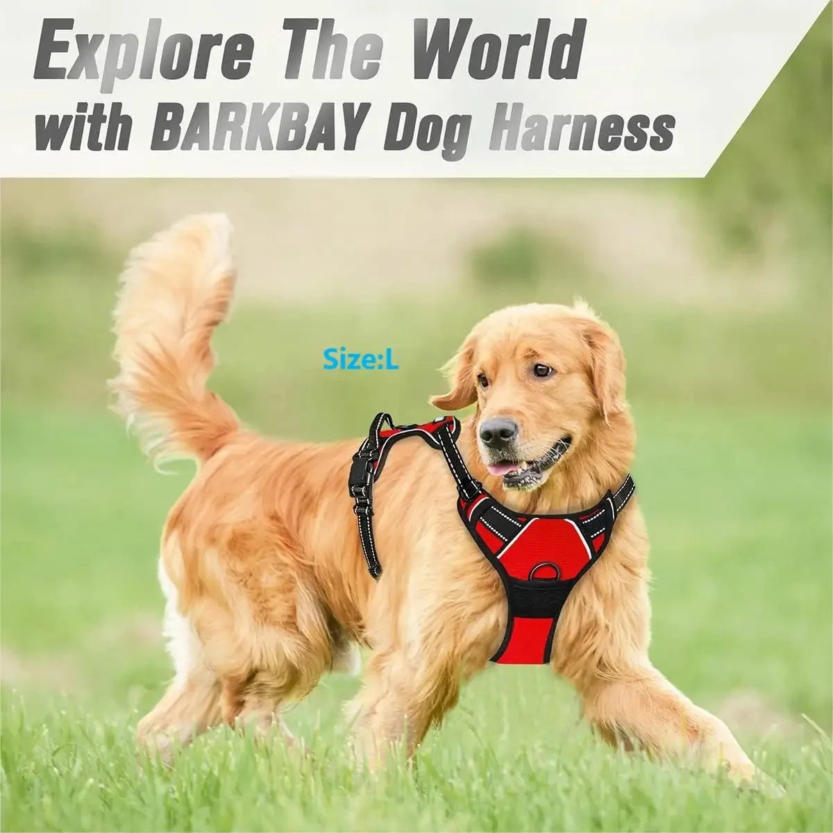 Leather Dog Harness & Leash Set – Comfortable Walking Vest