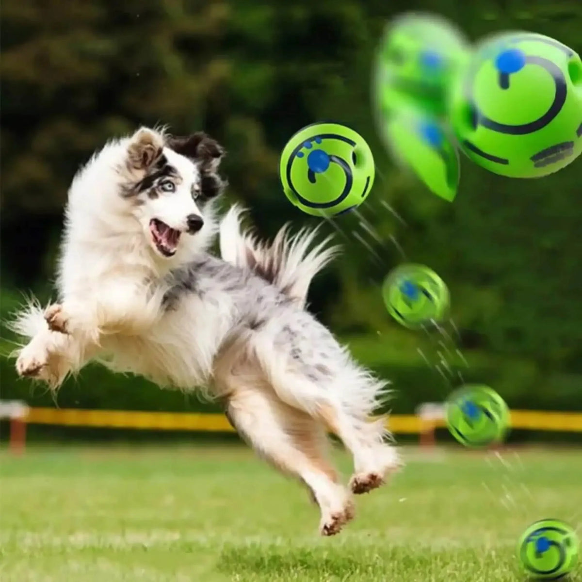 Interactive Giggle Ball – Fun Training & Exercise Toy for Dogs