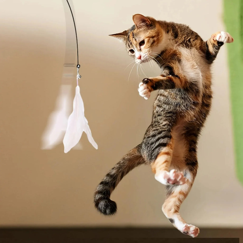 Interactive Cat Teaser Wand – Bell & Feather Toy with Suction Cup