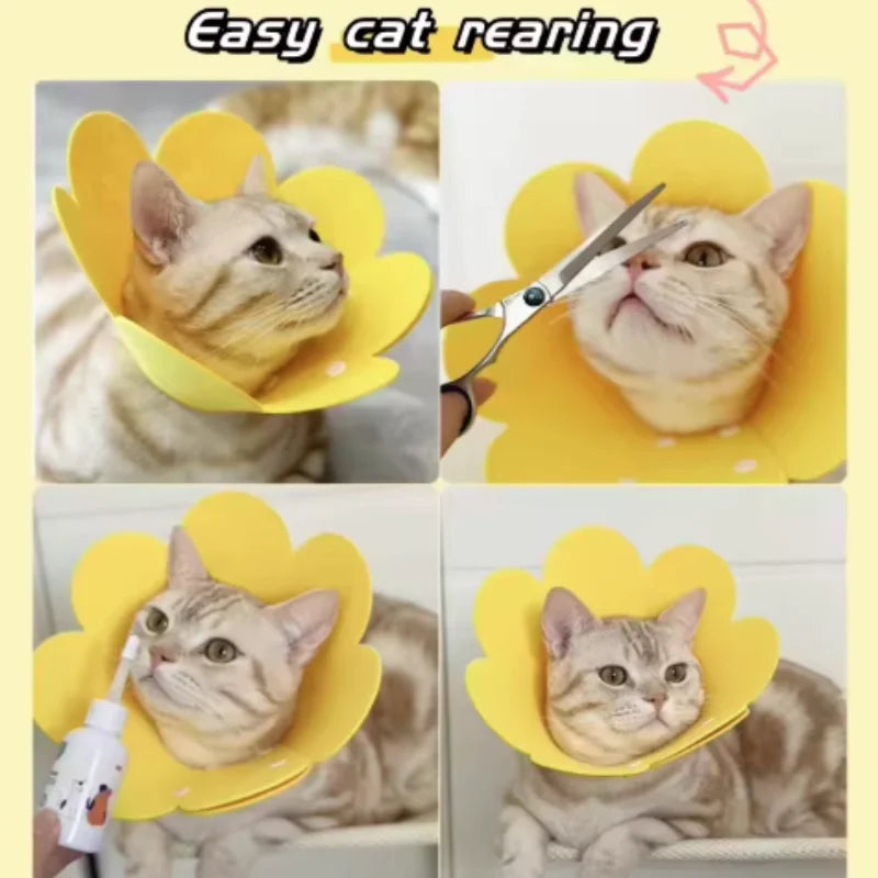 Flower-Shaped Recovery Collar – Adjustable Protective Cone for Pets