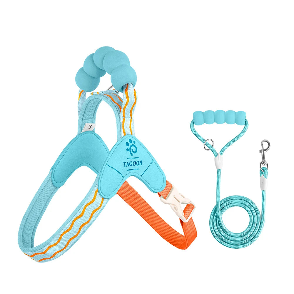 Soft Dog Harness & Leash Set – Breathable Vest for Small Pets