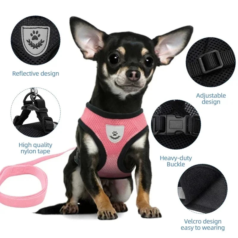 Adjustable Mesh Pet Harness & Leash Set – Soft Vest for Cats & Dogs