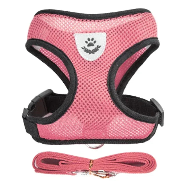 Adjustable Mesh Pet Harness & Leash Set – Soft Vest for Cats & Dogs
