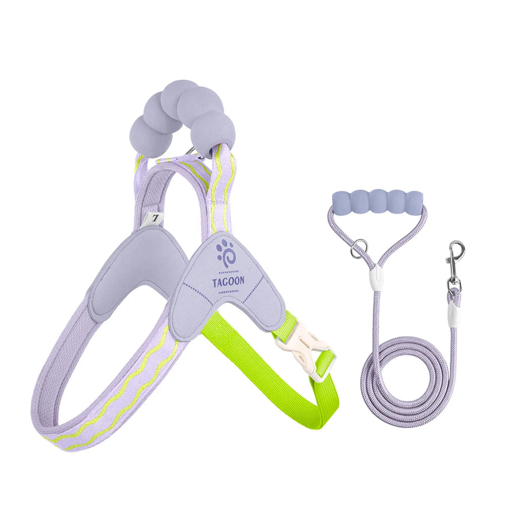 Soft Dog Harness & Leash Set – Breathable Vest for Small Pets