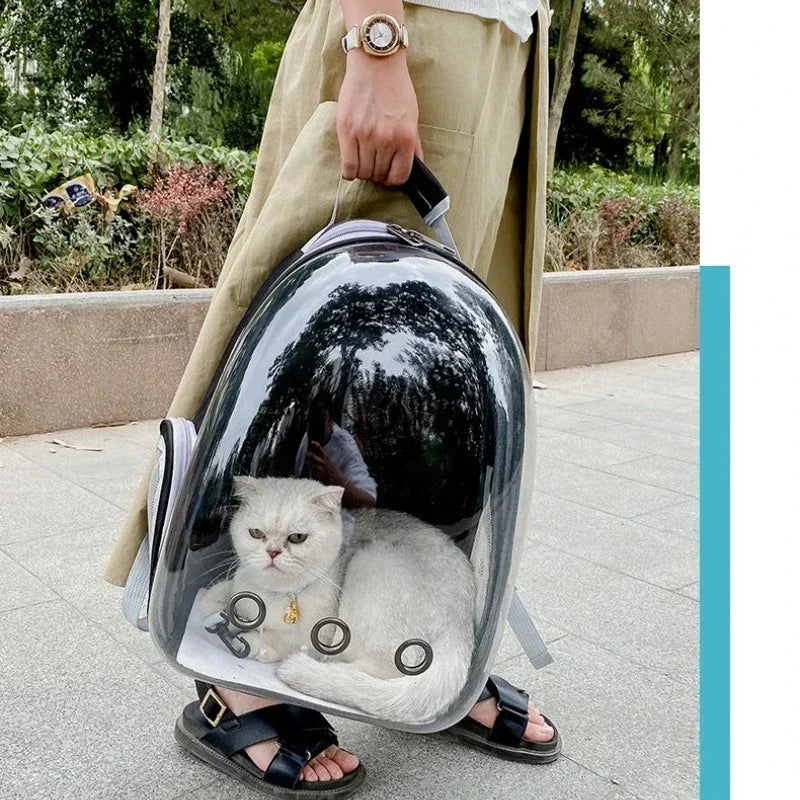 Transparent Pet Carrier Backpack – Breathable Portable Travel Bag