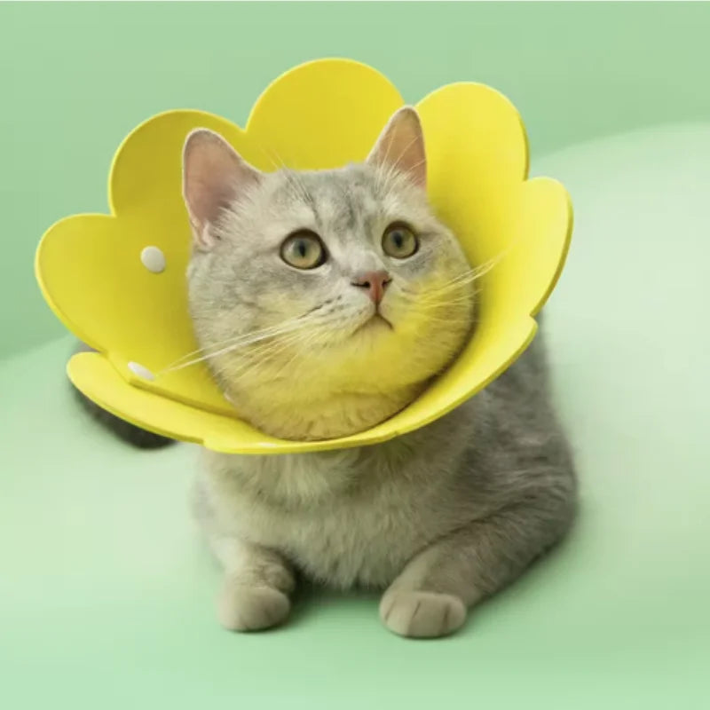 Flower-Shaped Recovery Collar – Adjustable Protective Cone for Pets
