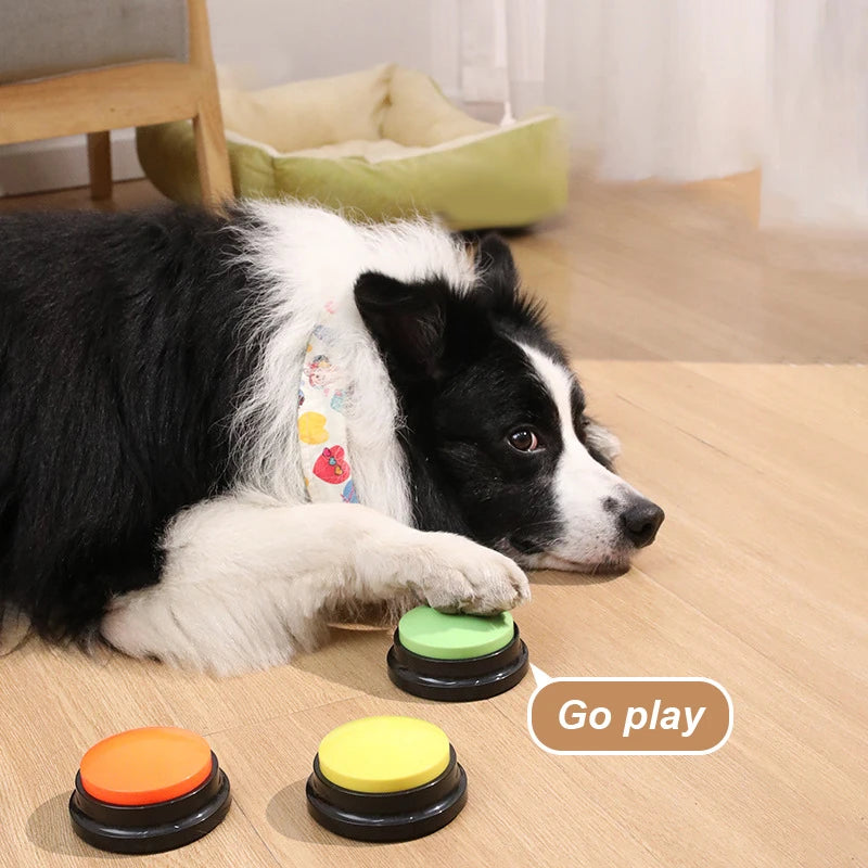 Recordable Pet Talking Button – Interactive Voice Training Toy