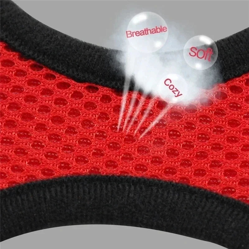 Adjustable Mesh Pet Harness & Leash Set – Soft Vest for Cats & Dogs
