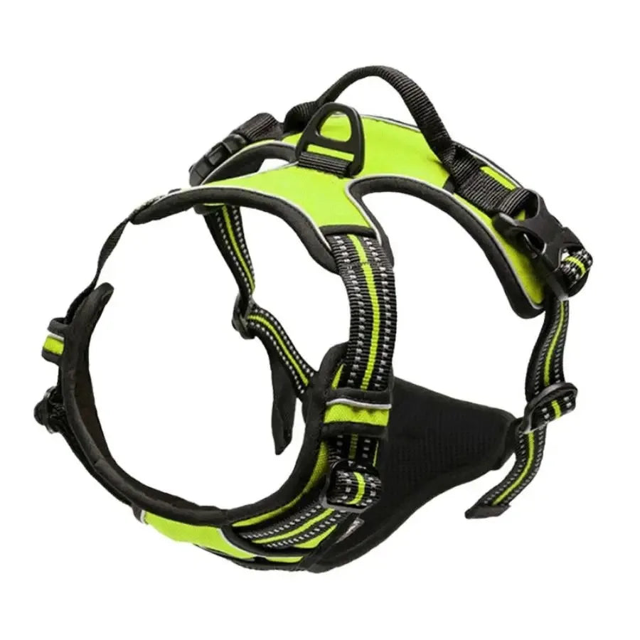 Leather Dog Harness & Leash Set – Comfortable Walking Vest