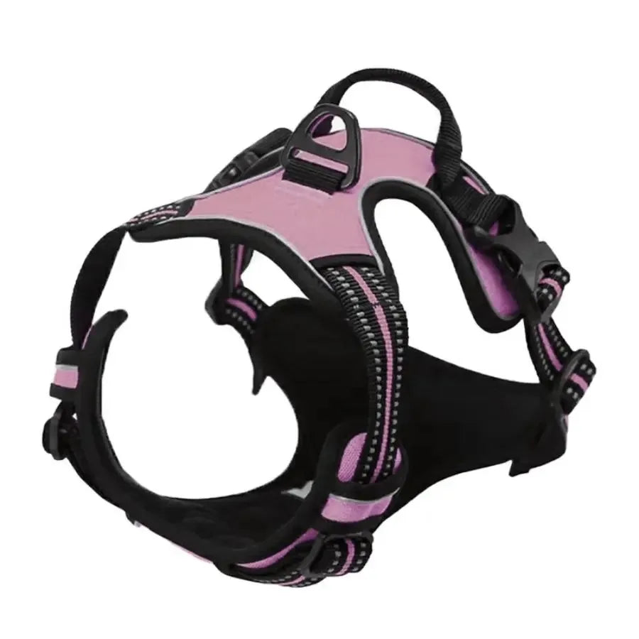 Leather Dog Harness & Leash Set – Comfortable Walking Vest