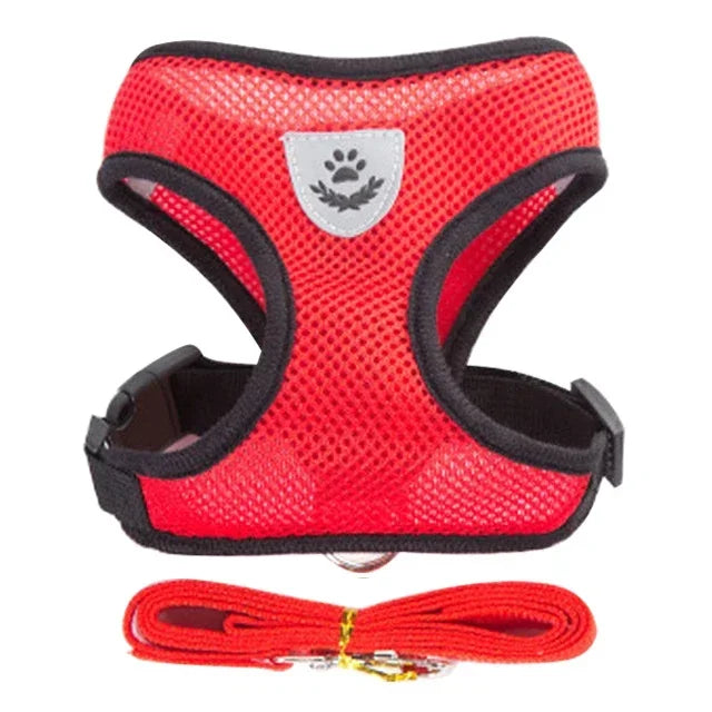 Adjustable Mesh Pet Harness & Leash Set – Soft Vest for Cats & Dogs