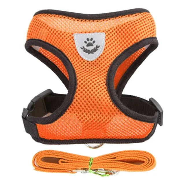 Adjustable Mesh Pet Harness & Leash Set – Soft Vest for Cats & Dogs