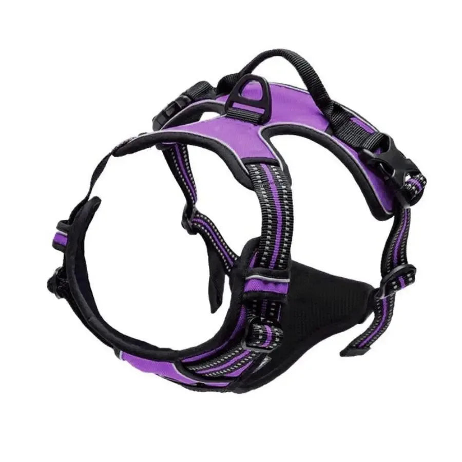 Leather Dog Harness & Leash Set – Comfortable Walking Vest