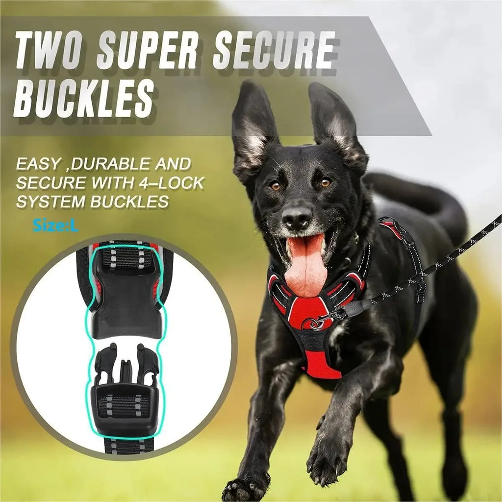 Leather Dog Harness & Leash Set – Comfortable Walking Vest