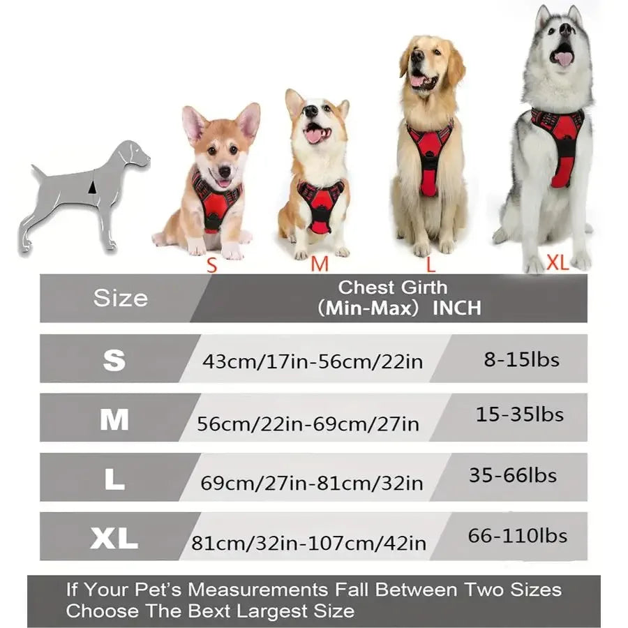 Leather Dog Harness & Leash Set – Comfortable Walking Vest