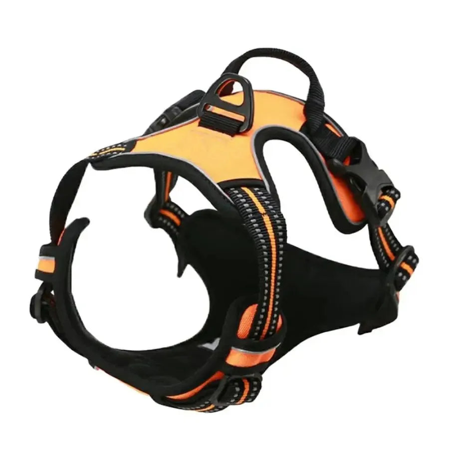 Leather Dog Harness & Leash Set – Comfortable Walking Vest