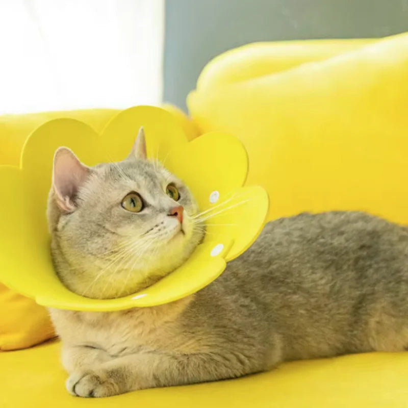 Flower-Shaped Recovery Collar – Adjustable Protective Cone for Pets