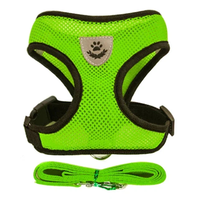 Adjustable Mesh Pet Harness & Leash Set – Soft Vest for Cats & Dogs