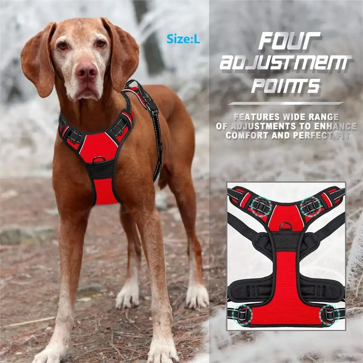 Leather Dog Harness & Leash Set – Comfortable Walking Vest