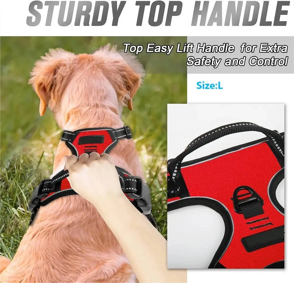 Leather Dog Harness & Leash Set – Comfortable Walking Vest