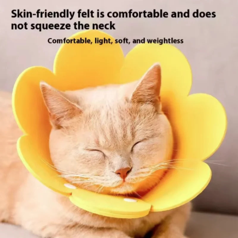Flower-Shaped Recovery Collar – Adjustable Protective Cone for Pets