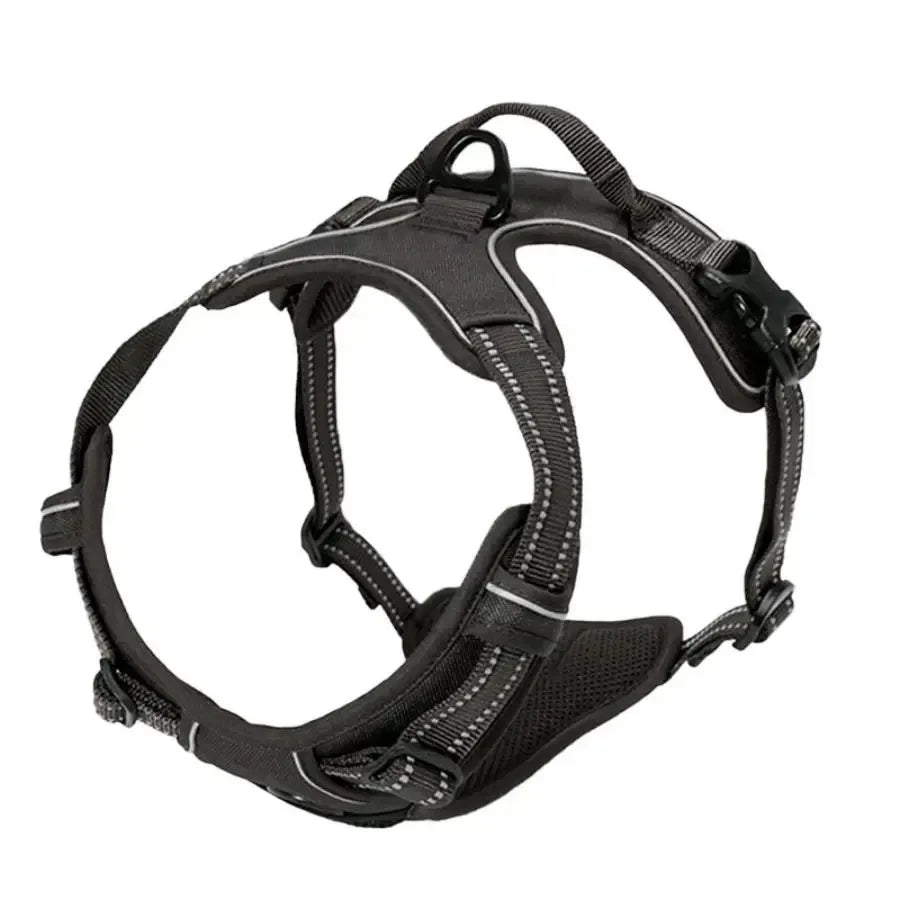 Leather Dog Harness & Leash Set – Comfortable Walking Vest