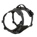 Leather Dog Harness & Leash Set – Comfortable Walking Vest